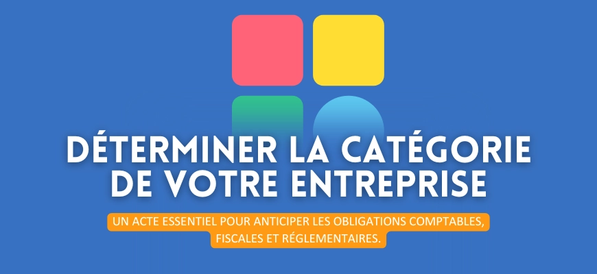 Comment déterminer la catégorie de son entreprise ?